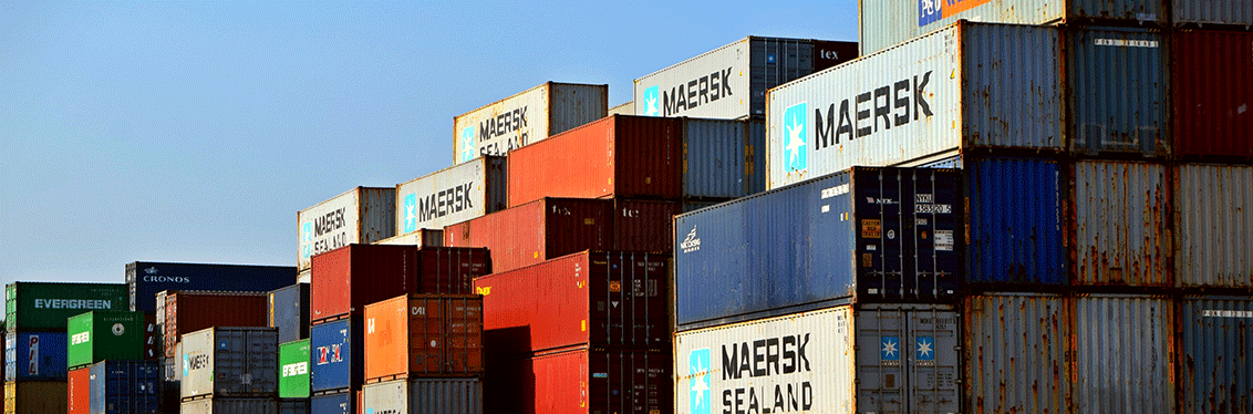 بیجک،برگ بیجک، نمونه بیجک باربری