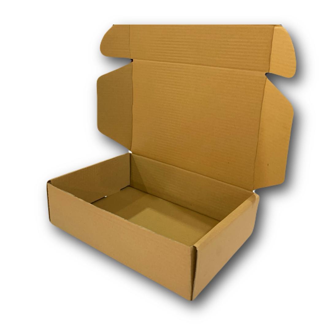 WhatsApp Image 2025-11-01 at 03.04.08 (1)